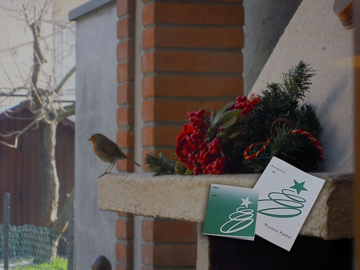 Auguri di un sereno Natale da tutti noi