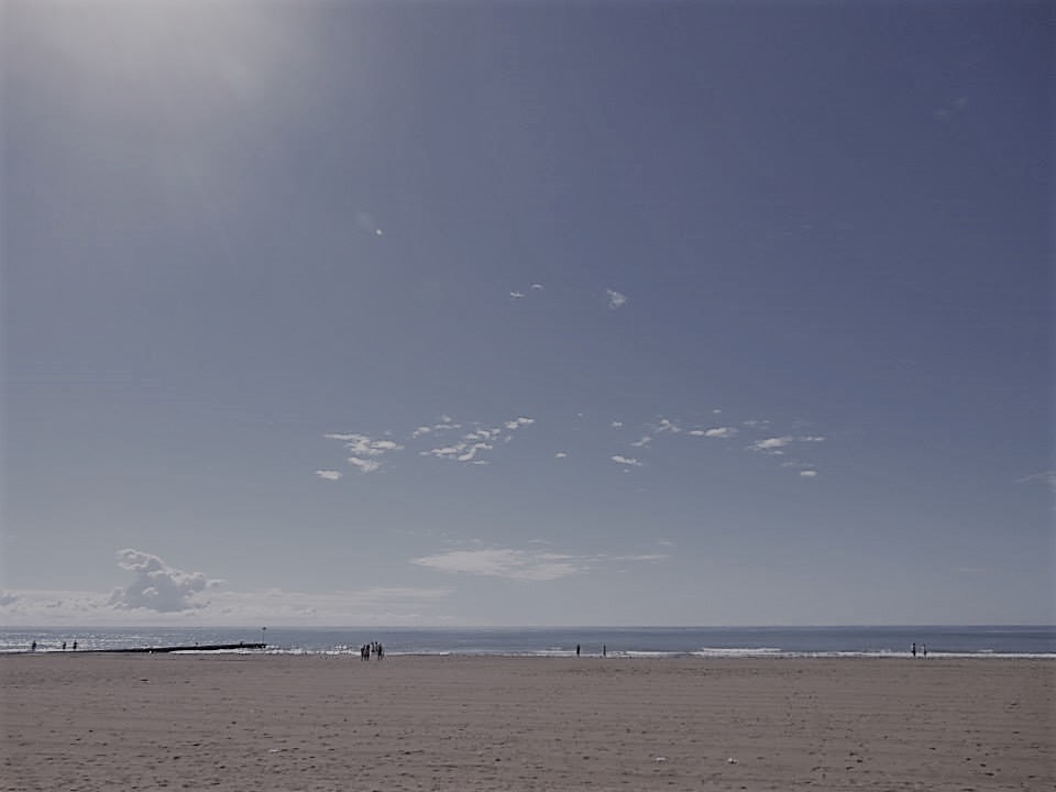 Buone ferie a tutti! Alinsieme va in vacanza.